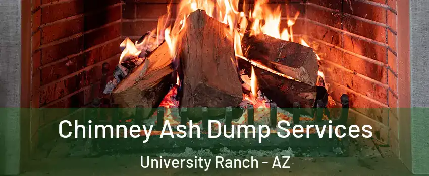 Chimney Ash Dump Services University Ranch - AZ