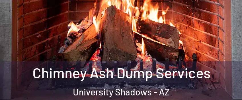 Chimney Ash Dump Services University Shadows - AZ