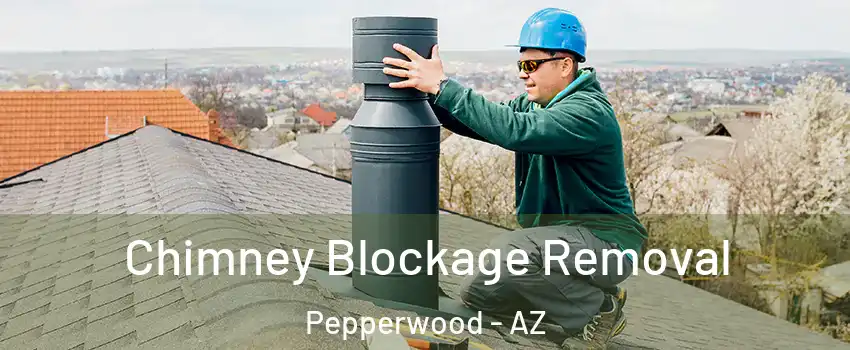 Chimney Blockage Removal Pepperwood - AZ