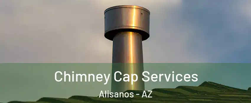 Chimney Cap Services Alisanos - AZ