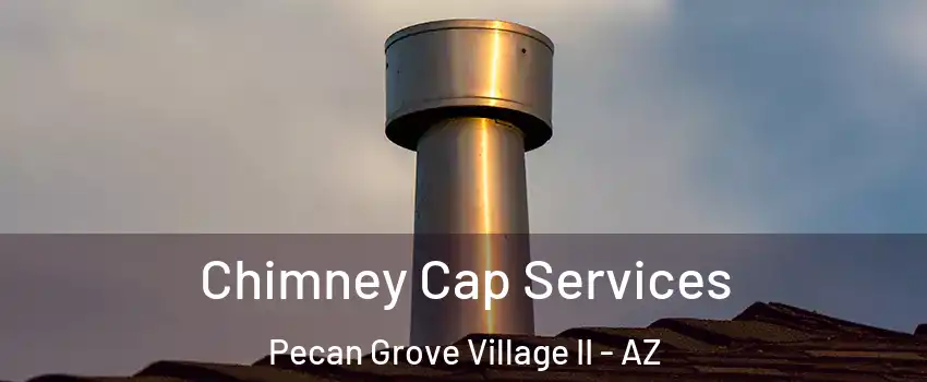 Chimney Cap Services Pecan Grove Village II - AZ