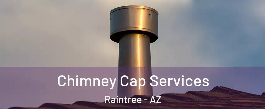 Chimney Cap Services Raintree - AZ