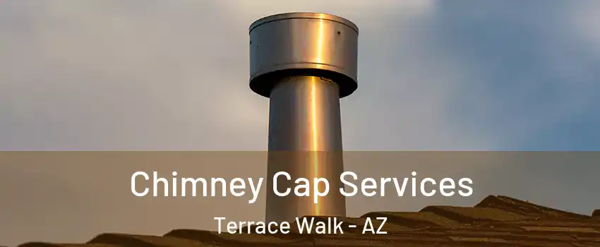 Chimney Cap Services Terrace Walk - AZ