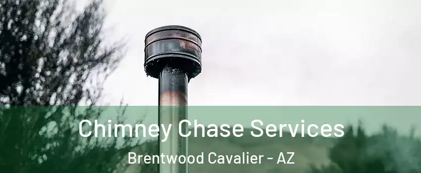 Chimney Chase Services Brentwood Cavalier - AZ