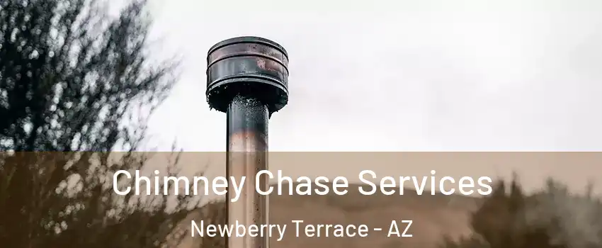 Chimney Chase Services Newberry Terrace - AZ