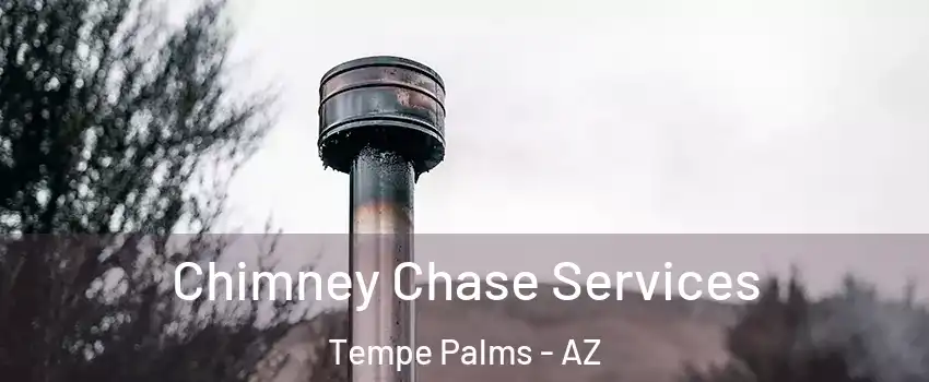 Chimney Chase Services Tempe Palms - AZ