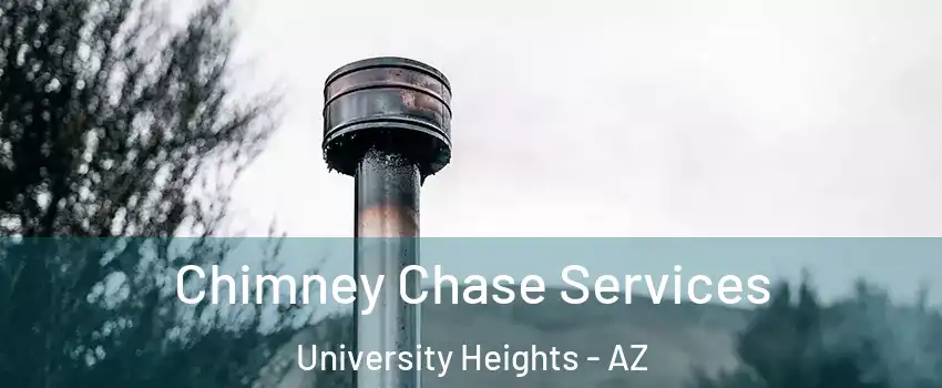 Chimney Chase Services University Heights - AZ