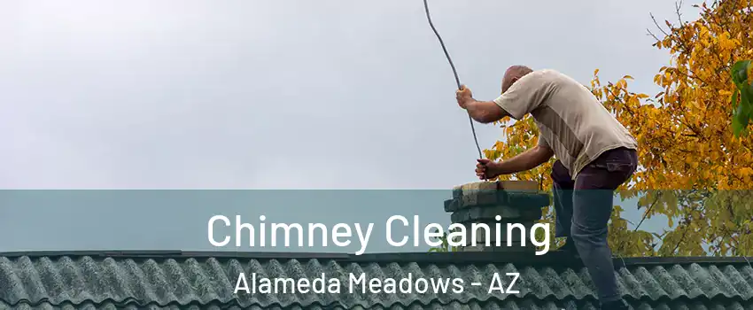 Chimney Cleaning Alameda Meadows - AZ