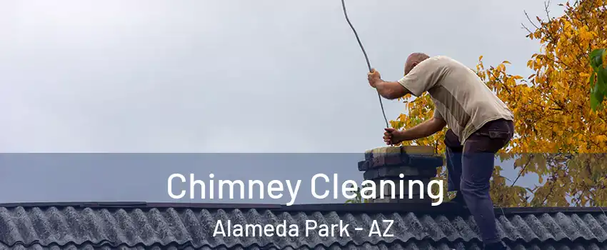 Chimney Cleaning Alameda Park - AZ