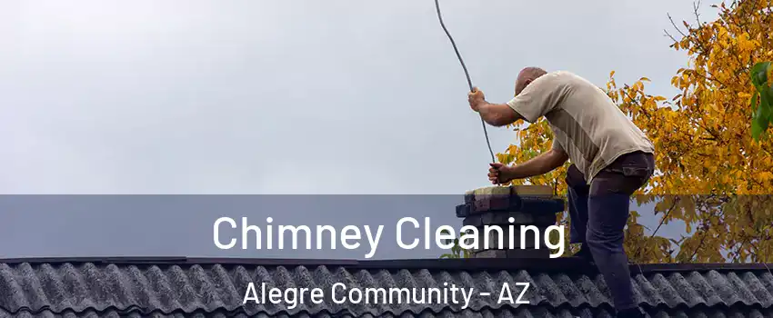 Chimney Cleaning Alegre Community - AZ