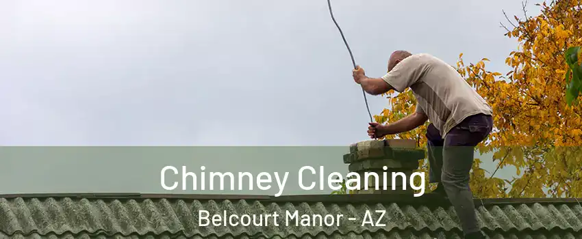 Chimney Cleaning Belcourt Manor - AZ