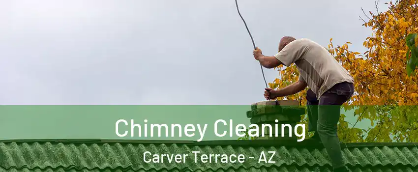 Chimney Cleaning Carver Terrace - AZ