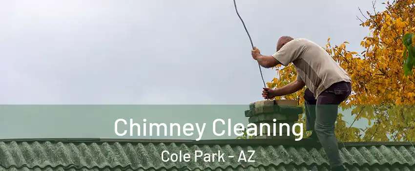 Chimney Cleaning Cole Park - AZ