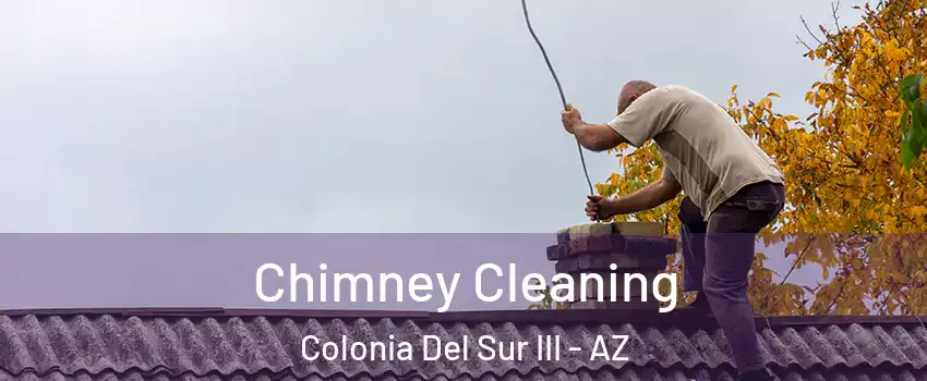 Chimney Cleaning Colonia Del Sur III - AZ