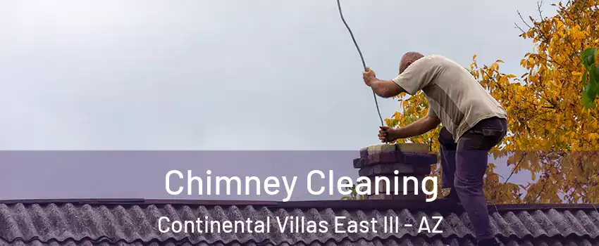 Chimney Cleaning Continental Villas East III - AZ