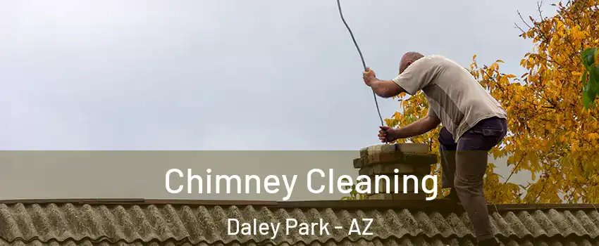 Chimney Cleaning Daley Park - AZ