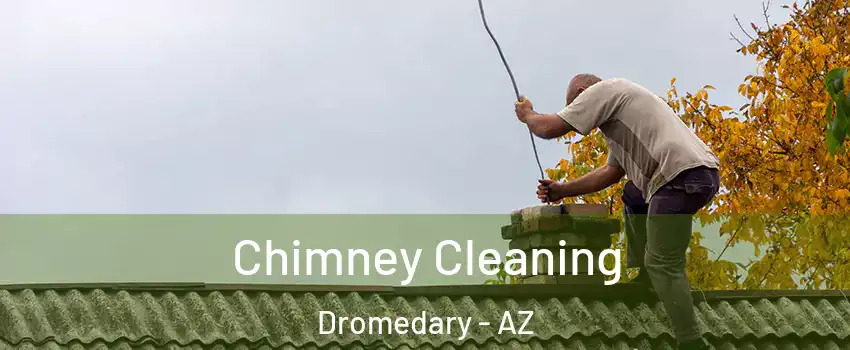 Chimney Cleaning Dromedary - AZ