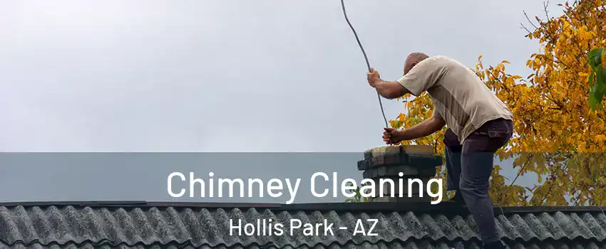 Chimney Cleaning Hollis Park - AZ