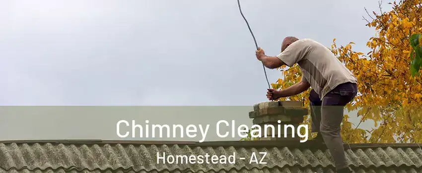 Chimney Cleaning Homestead - AZ