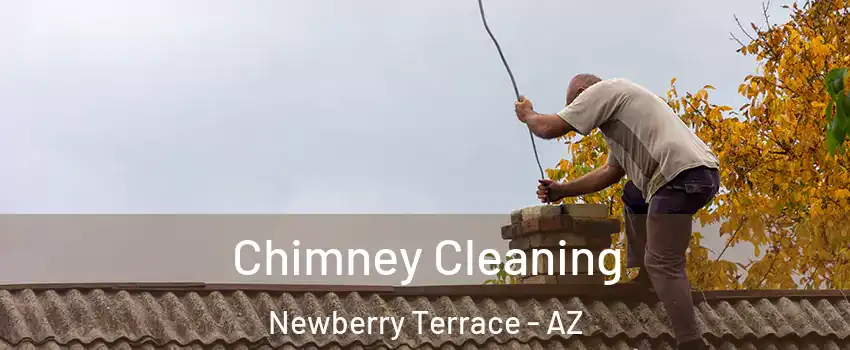 Chimney Cleaning Newberry Terrace - AZ