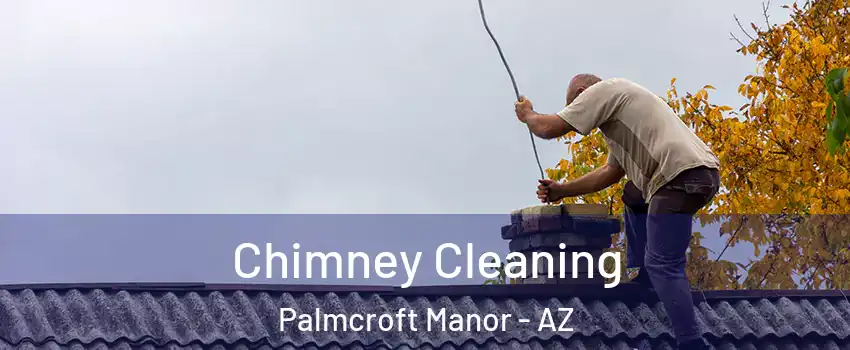 Chimney Cleaning Palmcroft Manor - AZ