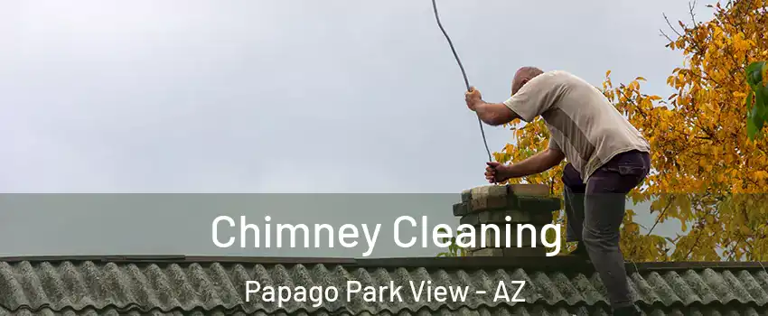 Chimney Cleaning Papago Park View - AZ