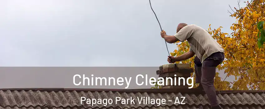 Chimney Cleaning Papago Park Village - AZ