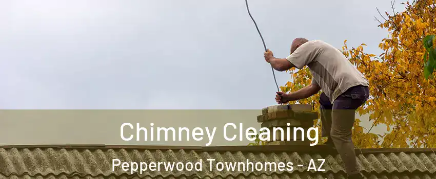 Chimney Cleaning Pepperwood Townhomes - AZ