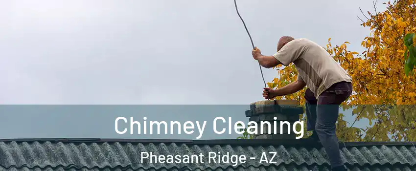 Chimney Cleaning Pheasant Ridge - AZ