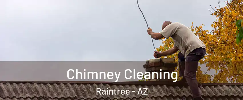 Chimney Cleaning Raintree - AZ