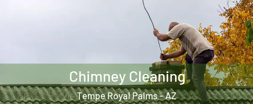 Chimney Cleaning Tempe Royal Palms - AZ