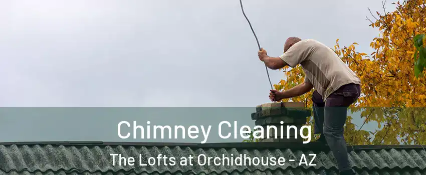 Chimney Cleaning The Lofts at Orchidhouse - AZ