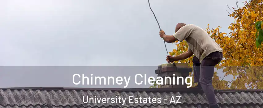 Chimney Cleaning University Estates - AZ