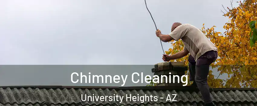 Chimney Cleaning University Heights - AZ