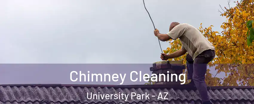 Chimney Cleaning University Park - AZ