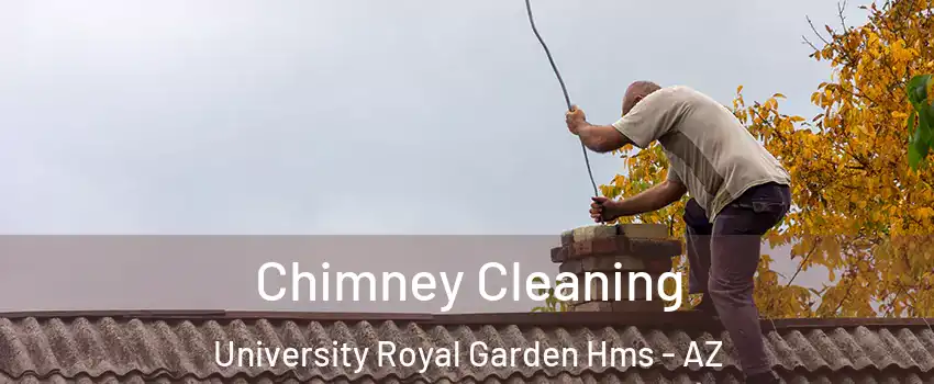 Chimney Cleaning University Royal Garden Hms - AZ