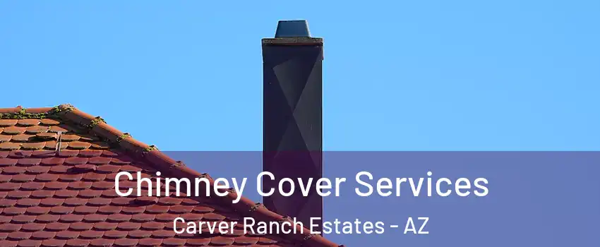 Chimney Cover Services Carver Ranch Estates - AZ