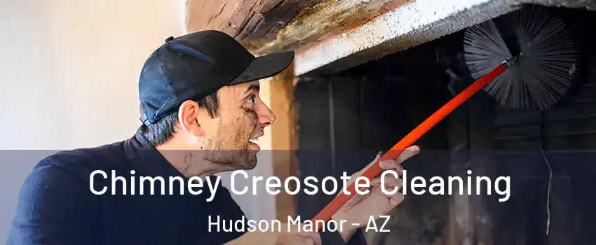 Chimney Creosote Cleaning Hudson Manor - AZ