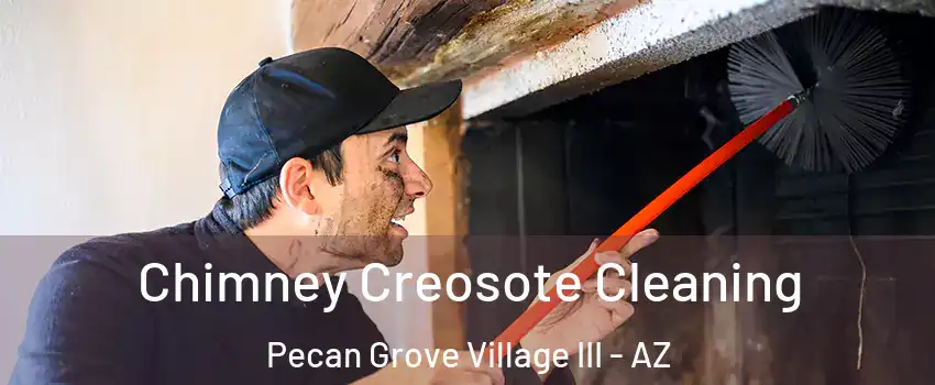 Chimney Creosote Cleaning Pecan Grove Village III - AZ