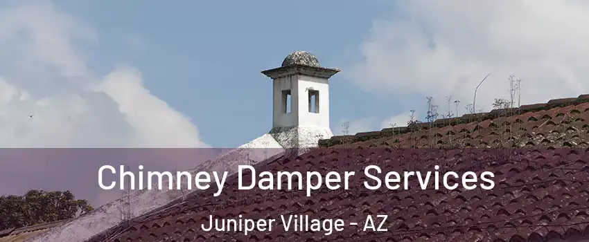 Chimney Damper Services Juniper Village - AZ