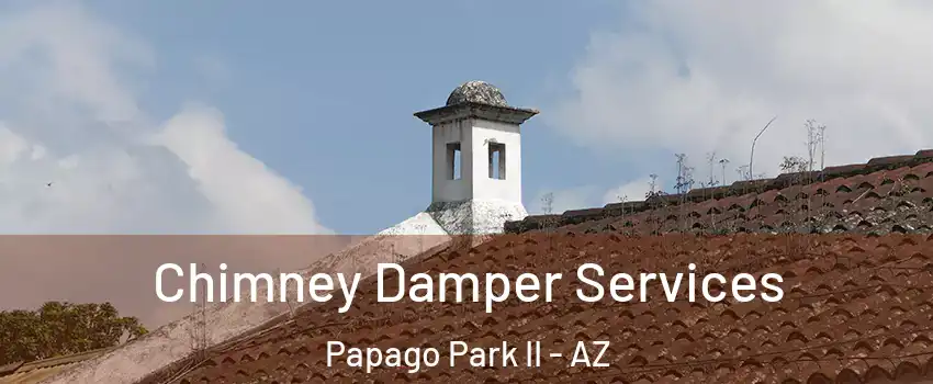 Chimney Damper Services Papago Park II - AZ