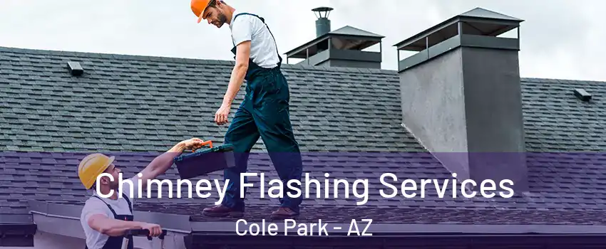 Chimney Flashing Services Cole Park - AZ