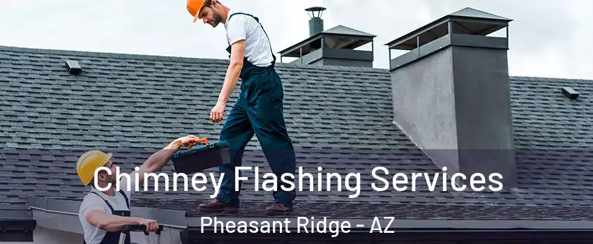 Chimney Flashing Services Pheasant Ridge - AZ