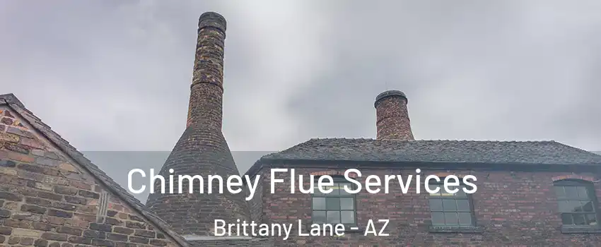 Chimney Flue Services Brittany Lane - AZ