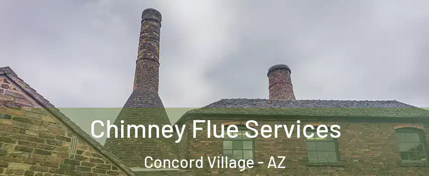 Chimney Flue Services Concord Village - AZ