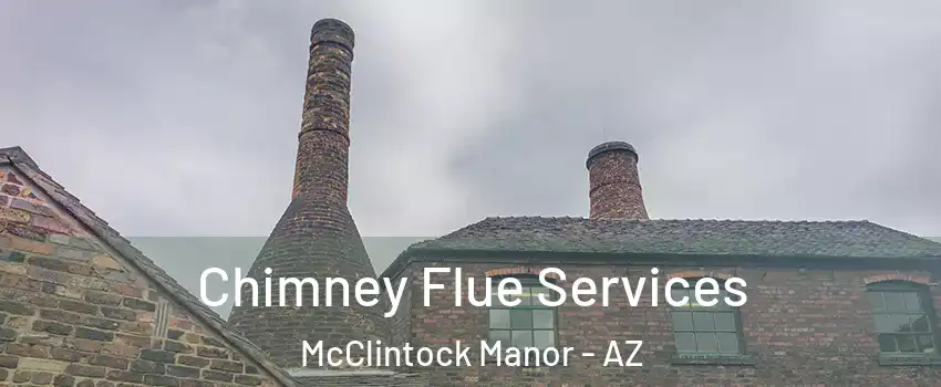 Chimney Flue Services McClintock Manor - AZ