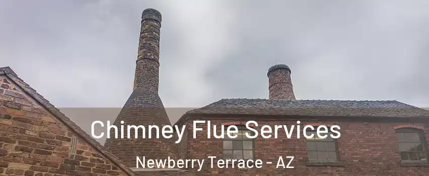 Chimney Flue Services Newberry Terrace - AZ