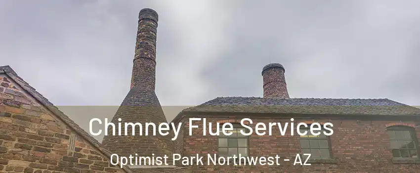 Chimney Flue Services Optimist Park Northwest - AZ