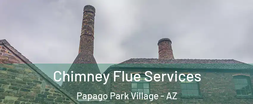 Chimney Flue Services Papago Park Village - AZ