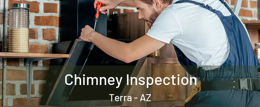 Chimney Inspection Terra - AZ